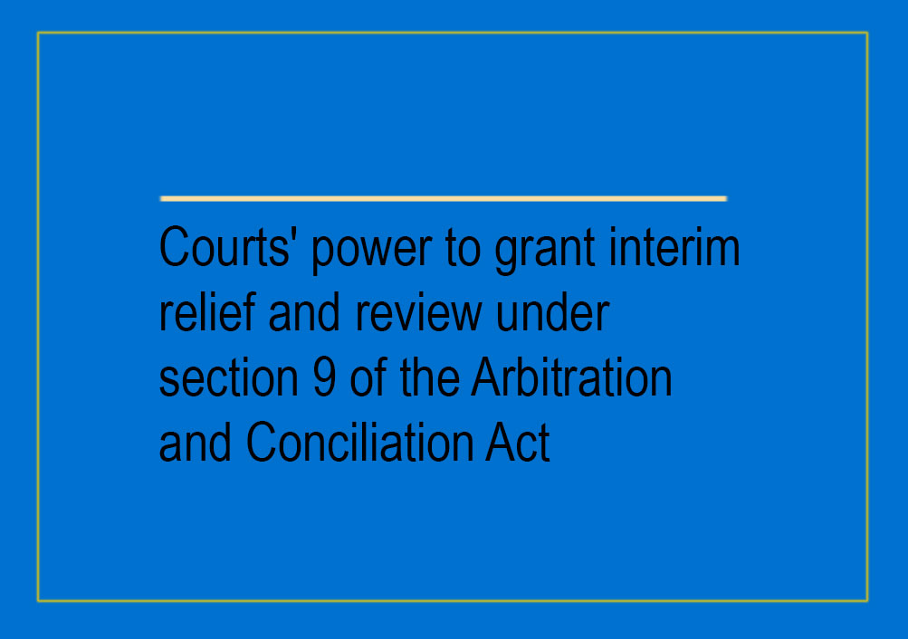 does-the-court-have-the-power-to-grant-interim-relief-and-review-under